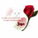 Jaya - A Rose - My World
