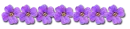 Spring Divider