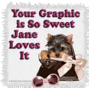 Yorkie in a handbag - Jane