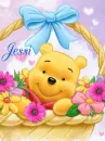 Jessi