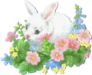Easter rabbit