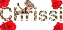 Chrissi