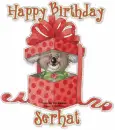 Happy Birthday Serhat