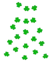Shamrock Shower