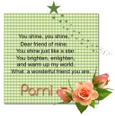Wonderful Friend- Pami