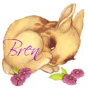 Bren