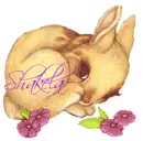 Shakela
