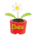 Daisy
