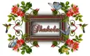 Spring Frame ~ Shakela
