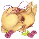 Deb