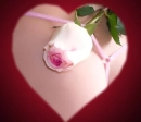 flori