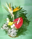 flori