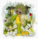 Hello Spring Daisy