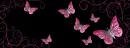 Cover Butterflies