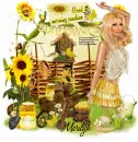 Good morning sunshine/Marilyn
