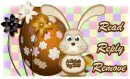 Read, Reply, Remove ~ Easter Bunny
