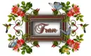 Spring Frame ~ Fran