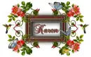 Spring Frame ~ Karen