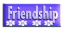 FRIENDSHIP BUTTON