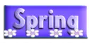 SPRING BUTTON