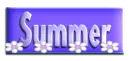 SUMMER BUTTON