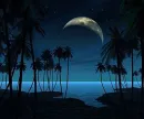 The Beach at Night Background