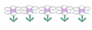 DAISIES DIVIDER