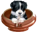 Lia
