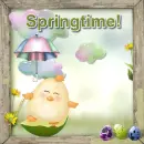 Springtime!