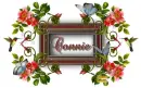 Spring Frame ~ Connie