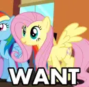 Fluttershy â™¥â™¥â™¥