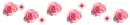 rose divider