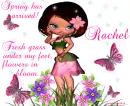 Rachel