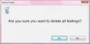 Are you sure You Wanna Delete My All Feelings
