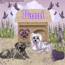 Pami