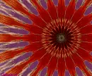 Glittering flower