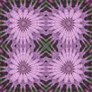Kaleidoscope
