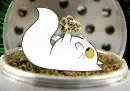 Weed Kitty