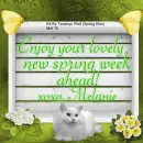 Melanie -Enjoy your....
