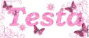 Testa
