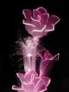 colour changing roses