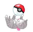 cat and pokeball