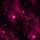 stars