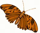 Butterfly Gem 