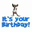 It's Your Birthday