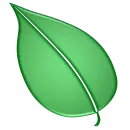 leaf