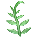 leaf