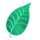 leaf