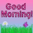 good morning