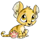 Baby Kougra